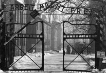 Stop Belittling The Holocaust With Your Stupid Nazi Analogies
