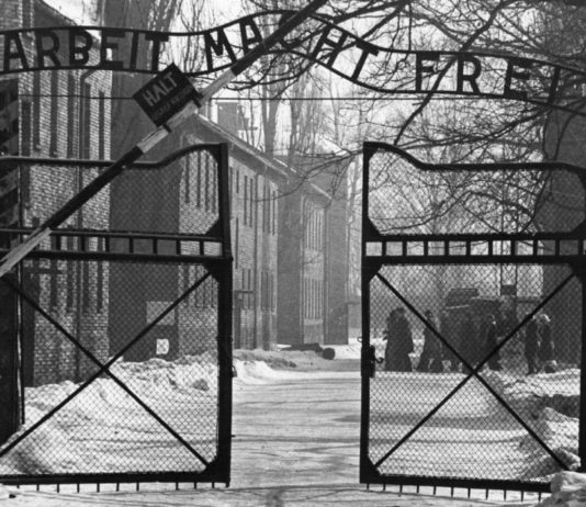 Stop Belittling The Holocaust With Your Stupid Nazi Analogies
