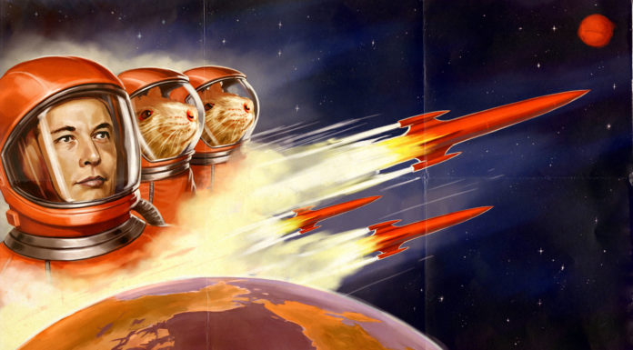 Is Elon Musk A Space Troll? Why SpaceX Probably Won’t Send Anyone To The Moon